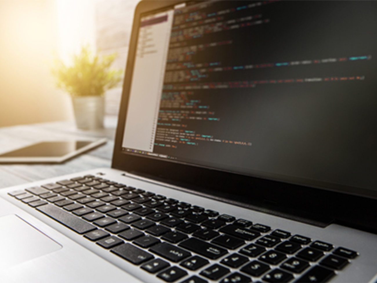 Software development