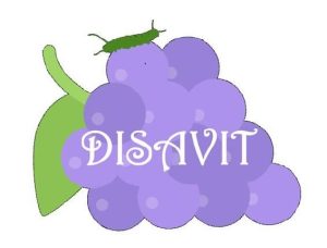 Disavit – Intelligens szőlőtermesztés