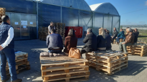 SmartGeoFish workshop