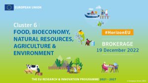 Horizon Europe Klaszter 6 Partnerkereső esemény